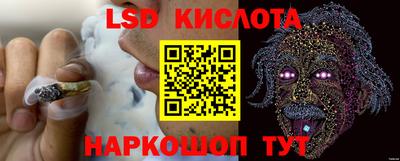 крисы Донской