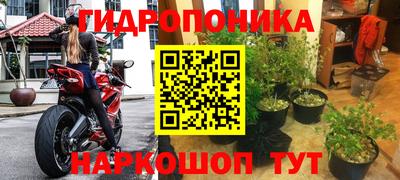 крисы Донской