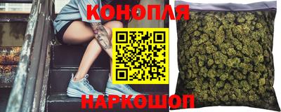крисы Донской
