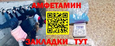 крисы Донской