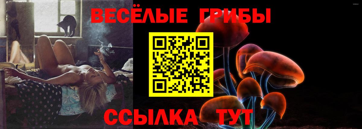 Галлюциногенные грибы мицелий  Вход с VPN  Мелеуз 
